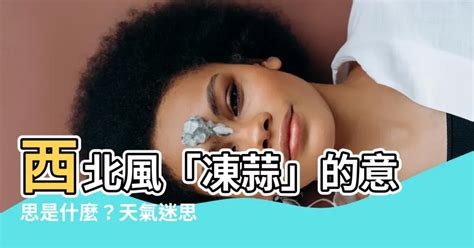 西北風 意思|西北風的解釋